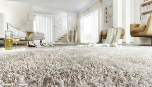 Bild Teppichböden Wohnzimmer - Farben Fangmeyer Emsbüren